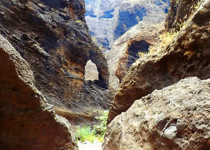 Feriehus Elegant House Sea View Cruz Santa Cruz de Tenerife