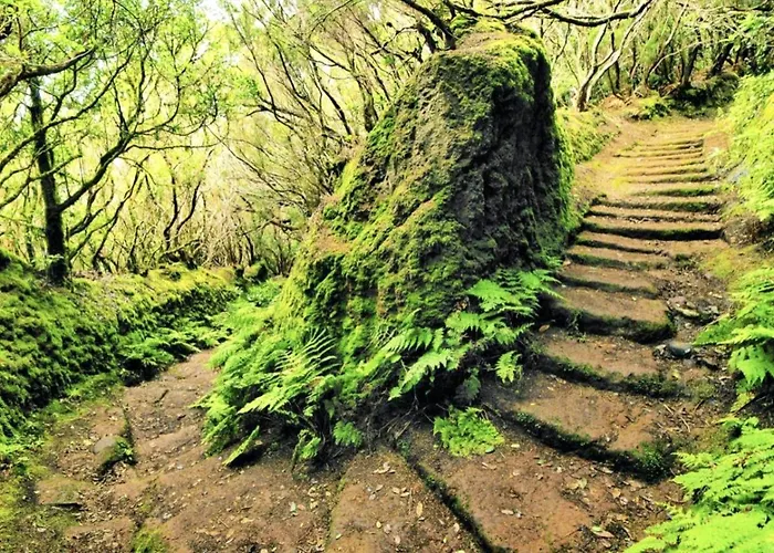 Elegant House Sea View Cruz Feriehus *