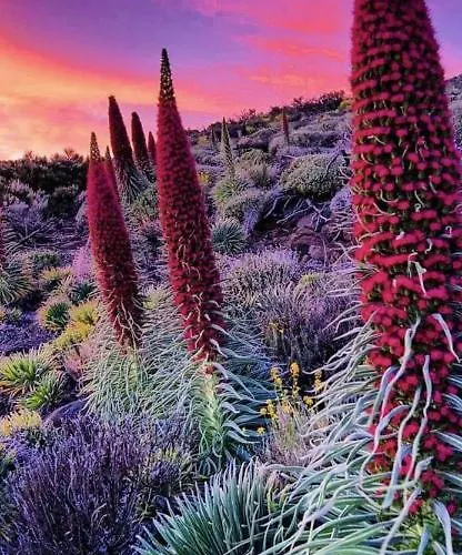 Elegant House Sea View Cruz *