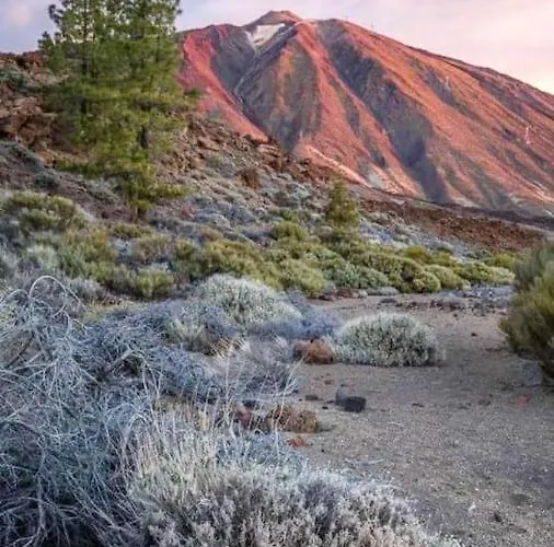 Elegant House Sea View Cruz *