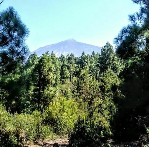 Feriehus Elegant House Sea View Cruz *