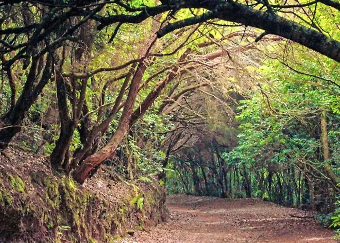 Elegant House Sea View Cruz Feriehus Santa Cruz de Tenerife